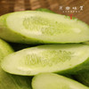 生态露天黄瓜（农场直发-顺丰包邮）| 3斤/5斤装 商品缩略图10