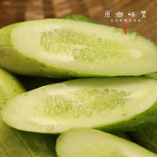 生态露天黄瓜（农场直发-顺丰包邮）| 3斤/5斤装 商品图10