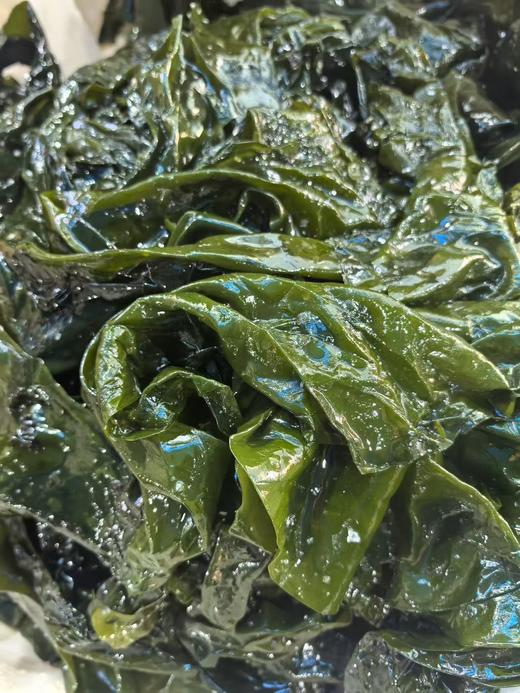 福建霞浦盐浸海带边（鲜）9.8元1箱约3斤，明天到 商品图1