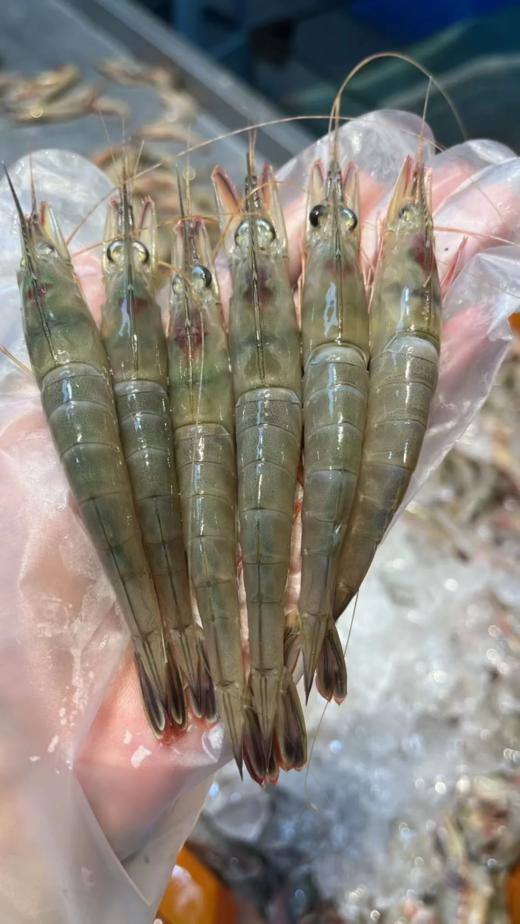 & 剑虾，滑皮虾，壳脆硬壳海虾，鲜甜补钙【活冻】 商品图2