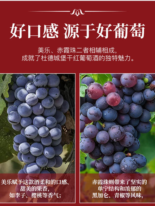 【佘山艾美】法国杜德城堡中级庄干红葡萄酒 商品图1