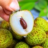 妃子笑荔枝 | 水果 商品缩略图1