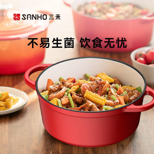 三禾铸铁珐琅锅ZT22A4 商品图2