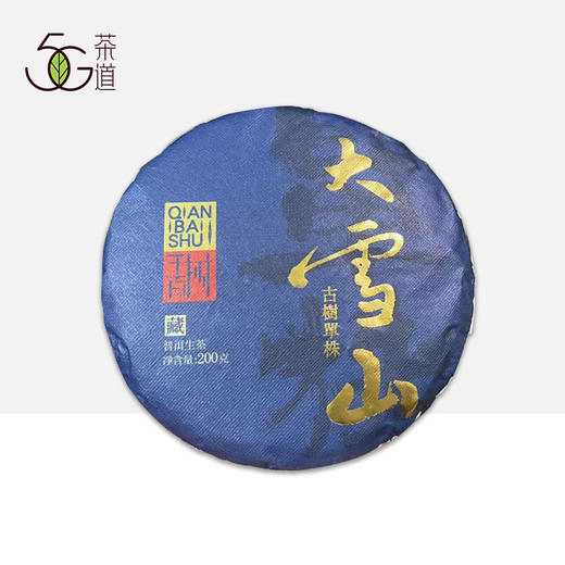 生普 | 千百树 2024年大雪山 500+ 树龄 大单株 200g/饼 商品图0