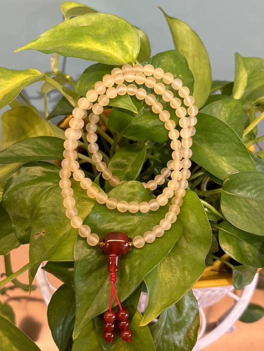 羊角手串HL-2230003 商品图0