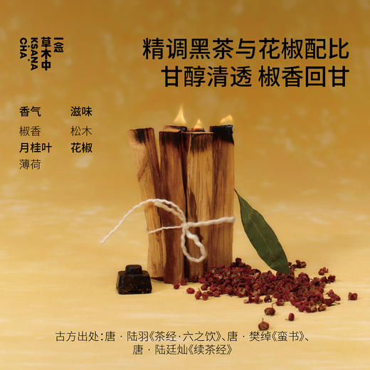 【补货回归】花椒青砖·岳阳黑茶 | 6g*20块/盒 | 黑茶类 商品图2