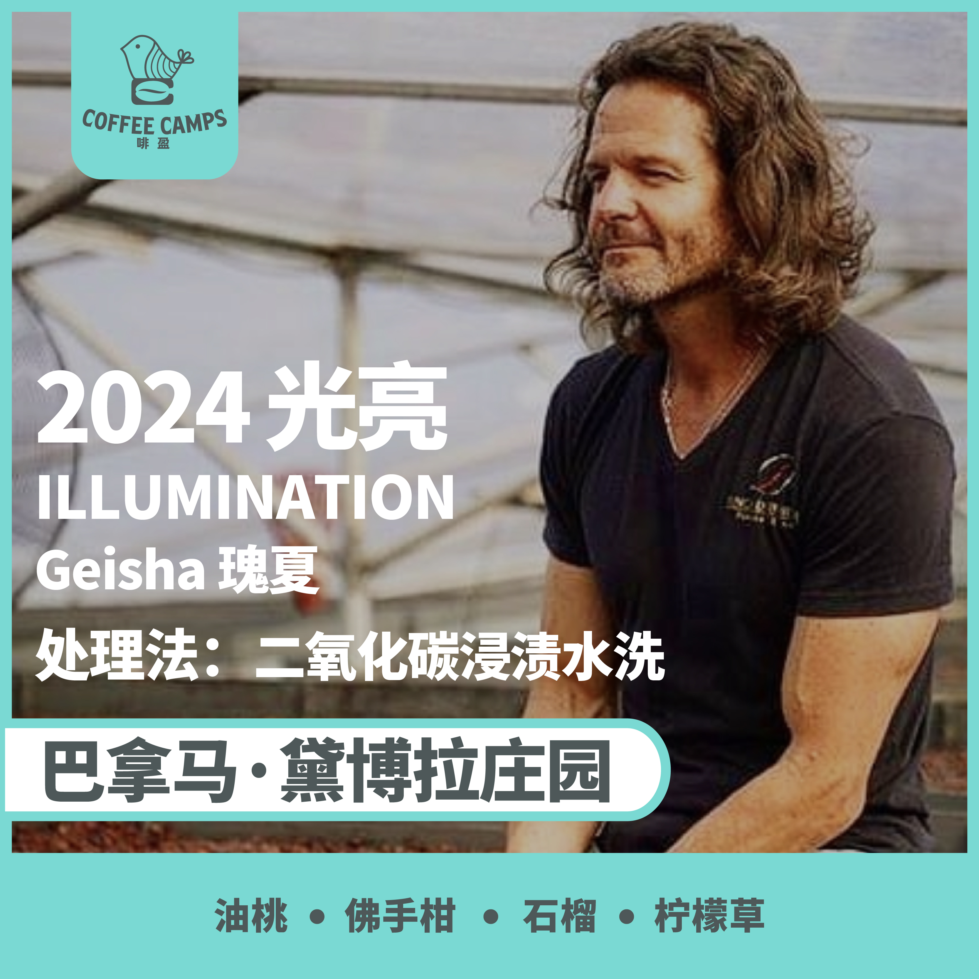 24产季 巴拿马 黛博拉 Finca Deborah 光亮 ILLUMINATION 瑰夏 二氧化碳浸渍水洗（生豆）空运批次