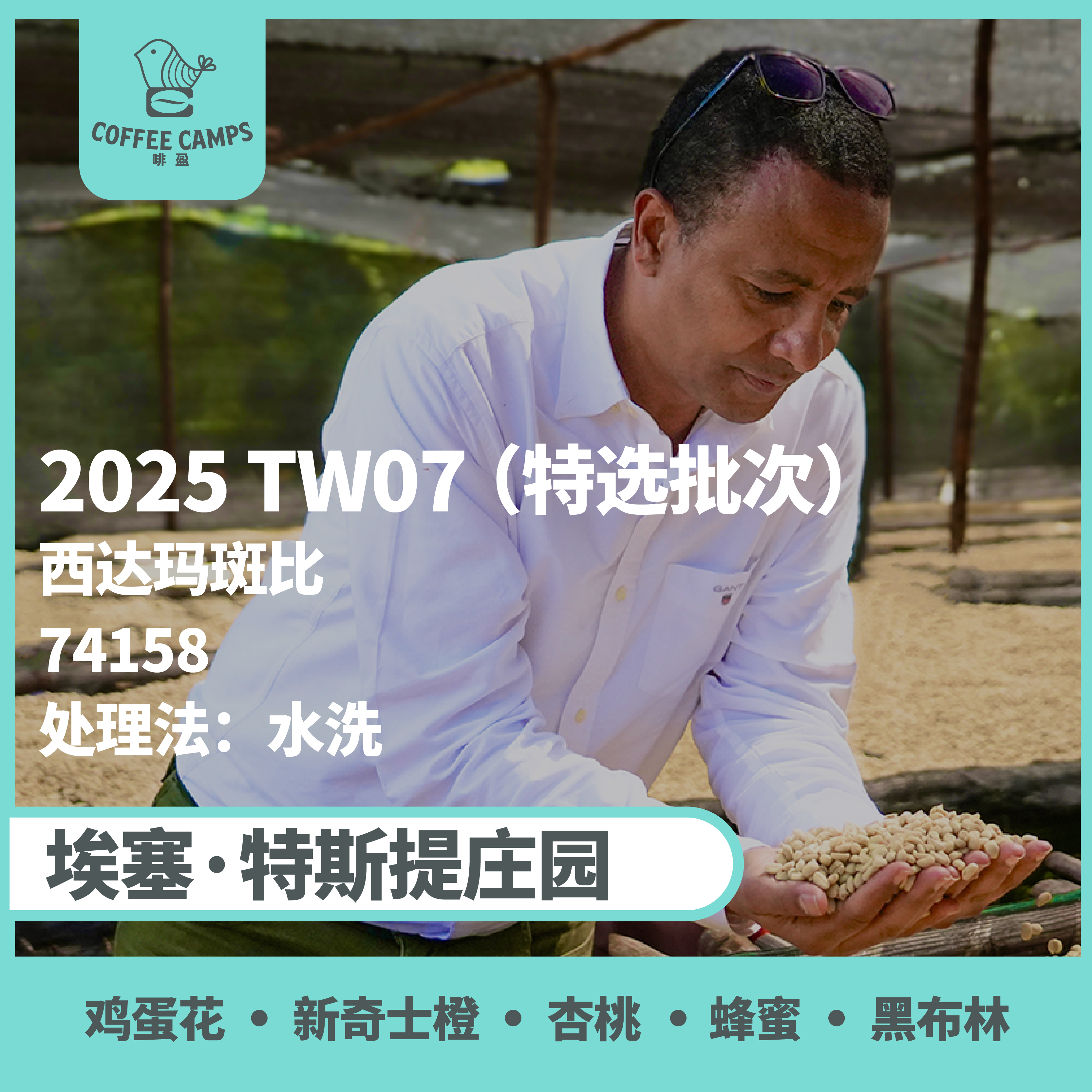 25产季 Testi特选批次 埃塞 特斯提 Testi TW07 水洗（生豆）空运批次