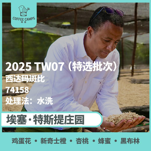 25产季 Testi特选批次 埃塞 特斯提 Testi TW07 水洗（生豆）空运批次 商品图0