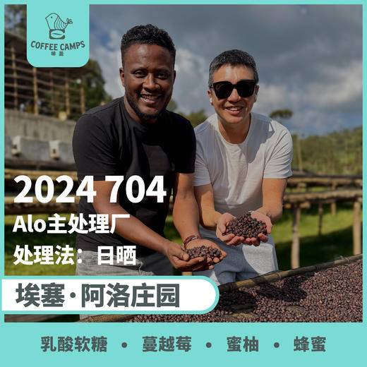 24产季 埃塞 阿洛 Alo 704 日晒（生豆）空运批次 商品图0