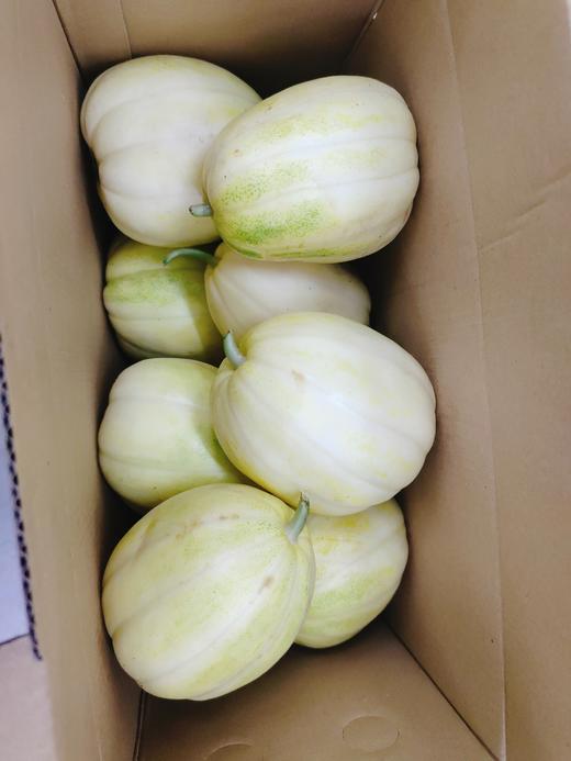 香瓜礼盒 商品图1