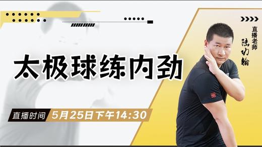【5月25日】太极球练内劲 ——功夫课堂 商品图0