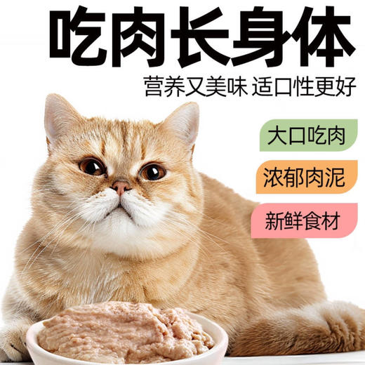 毛大胖猫主食猫饭全价湿粮包罐头鸡牛鱼肉猫条营养补水50g/包 商品图1