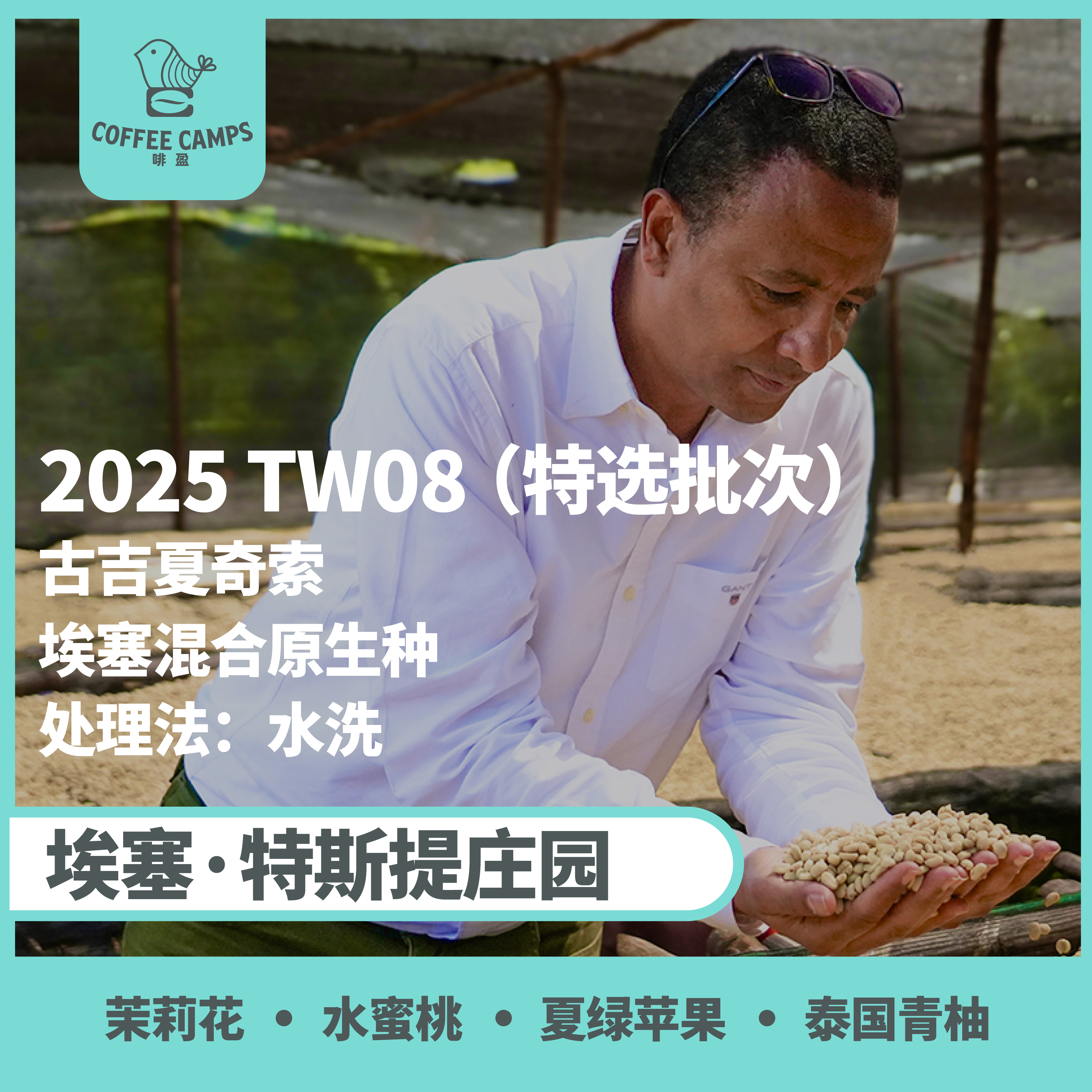 25产季 Testi特选批次 埃塞 特斯提 Testi TW08 水洗（生豆）空运批次