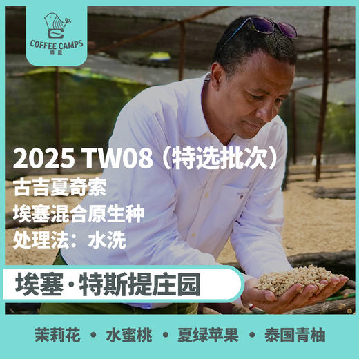25产季 Testi特选批次 埃塞 特斯提 Testi TW08 水洗（生豆）空运批次 商品图0