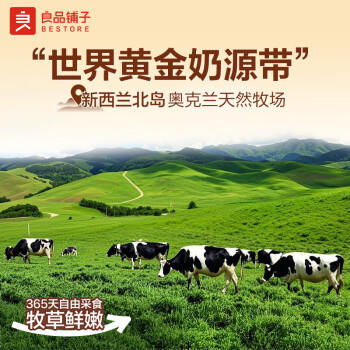 良品铺子 牛乳沙琪玛500g萨其马早餐面包糕点代餐0添加蔗糖下午茶点心零食 商品图2