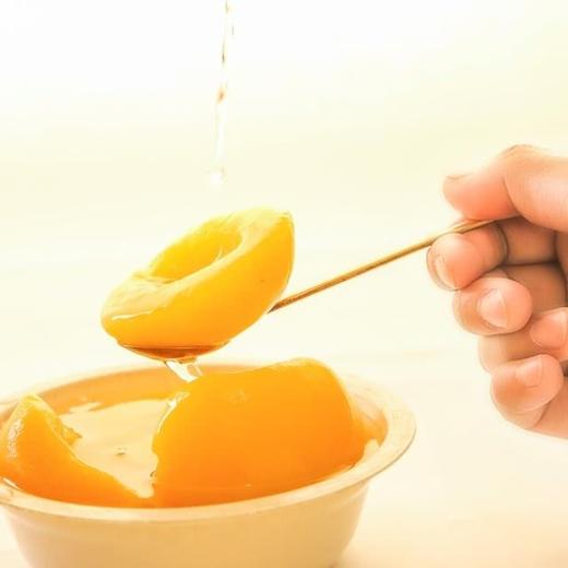 【悦惠精选】合膳龙糖水罐头1.5kg 商品图2