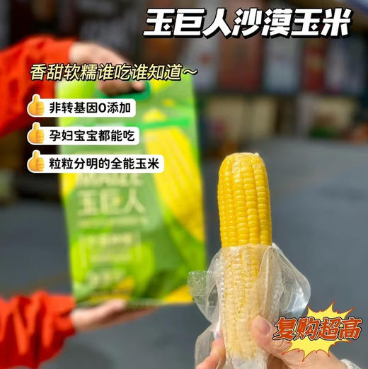 玉巨人 内蒙沙漠种植 玉米🌽 口感好推荐 绿色食品 出口标准 3.7斤袋（39.9/袋） 商品图0