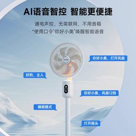【高端款 大扇叶】奥戈那AI智能空气循环扇FC25-RD45