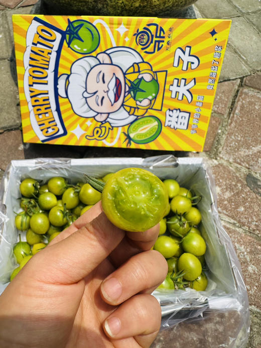 青甜小番茄 商品图8