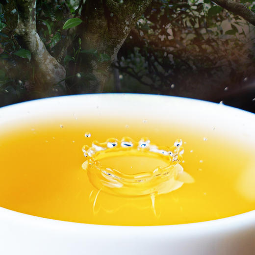 【茶王七星班章白菜青饼】2025年春茶 史诗级巨作让整个茶界为之沸腾，正统班章味班章韵中国制茶大师多年心血结晶 商品图6