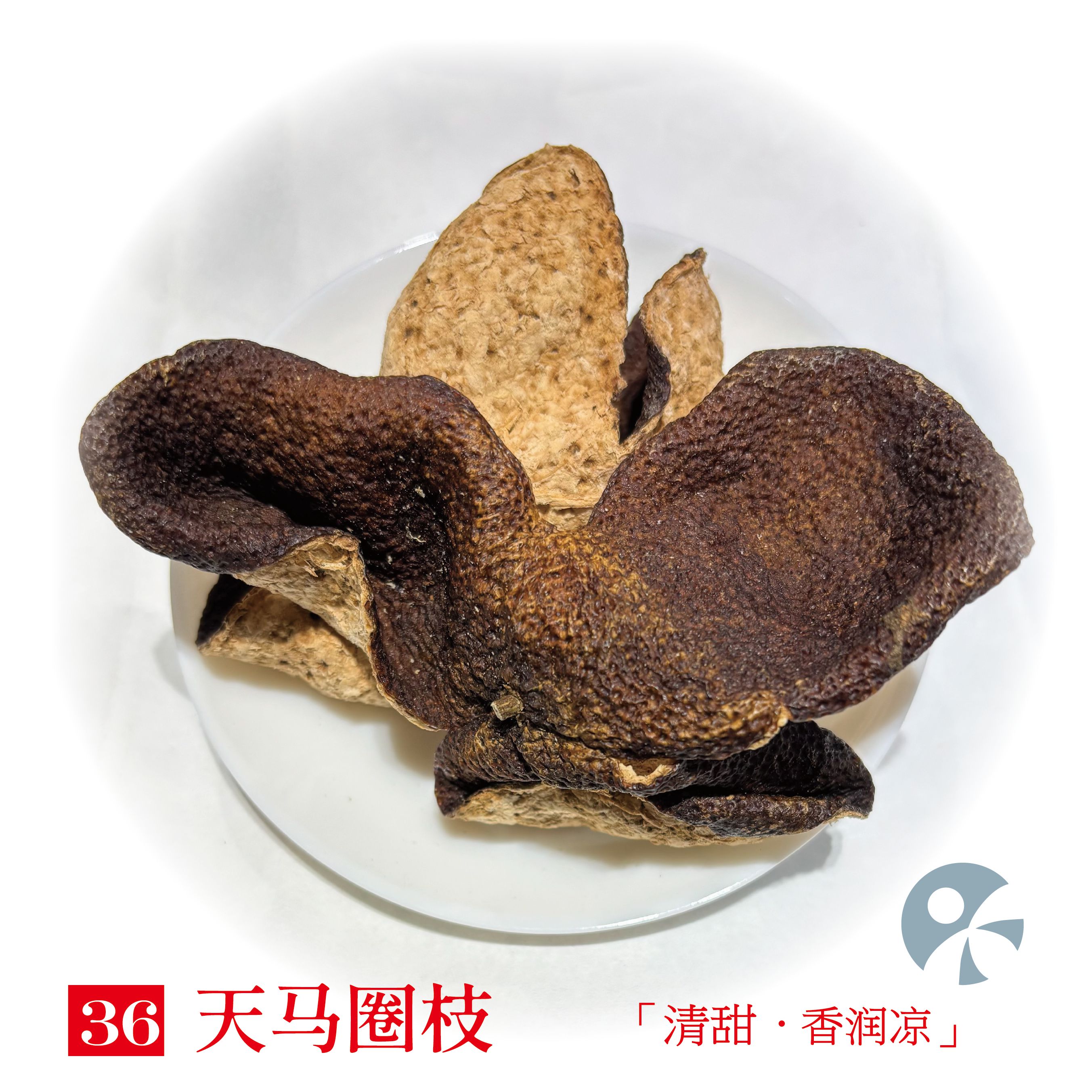 「蓝蜜蜂·花茶」天马圈枝