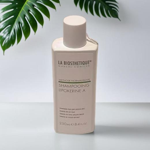 贝伊丝清爽控油洗发露 250ml/瓶 商品图0