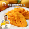 生态元江芒果 | 合作生产 *Eco-mango | Coproduction 商品缩略图0