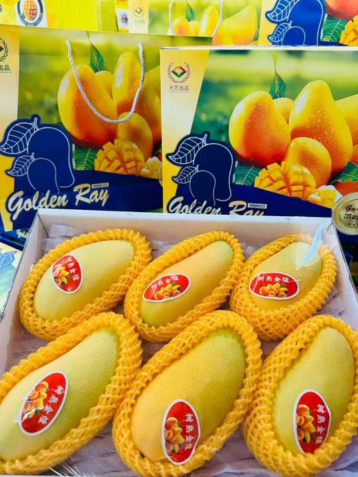 金煌芒礼盒 商品图1