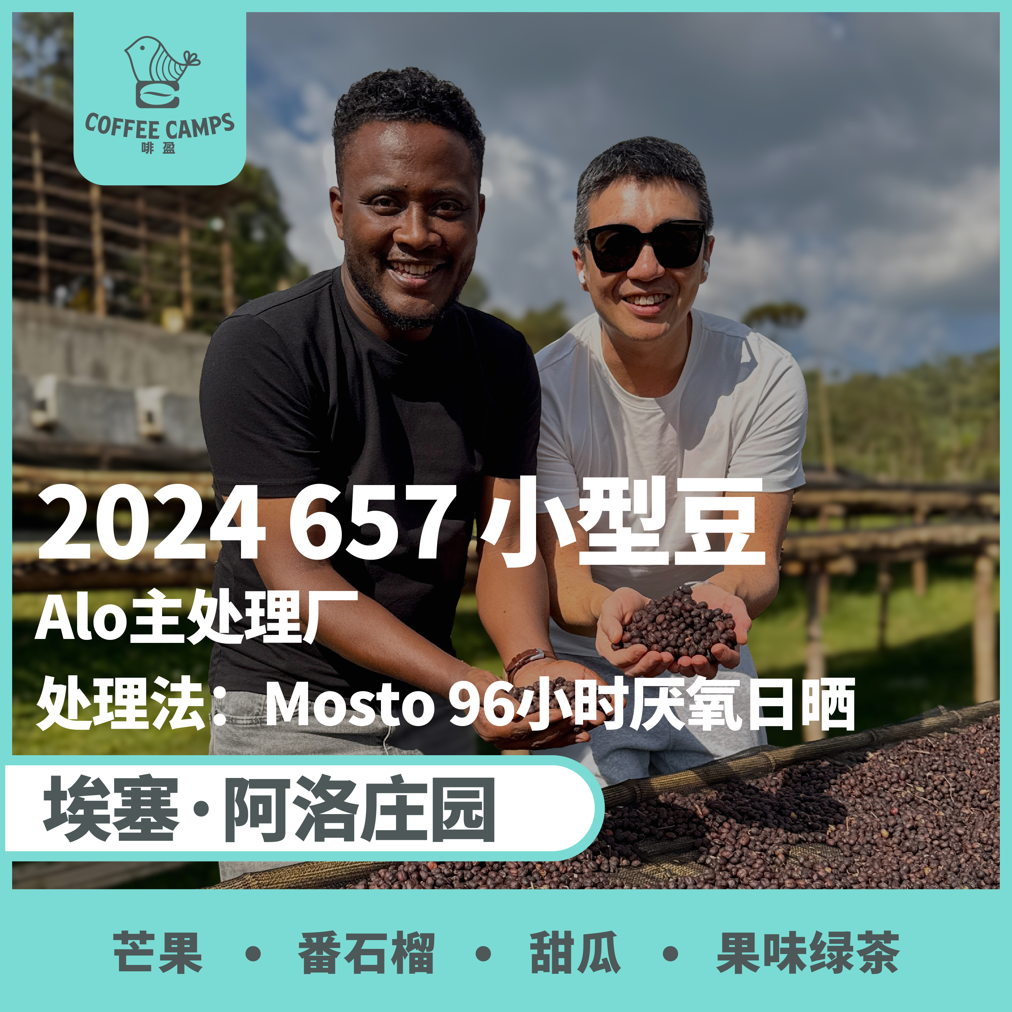 24产季 埃塞 阿洛 Alo 657 96小时厌氧日晒（生豆）空运批次
