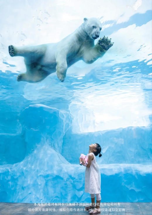 【珠海长隆海洋王国】纯玩2天 商品图1