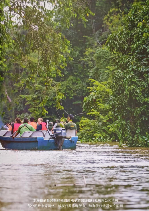 【奇趣雨林·婆罗洲】 6天5晚 商品图2