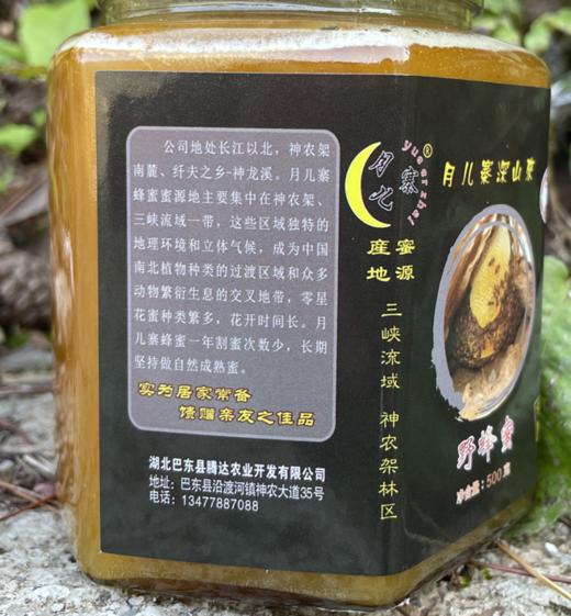 巴东县月儿寨野蜂蜜500g/瓶 商品图1