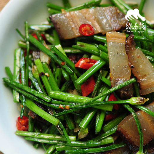 生态韭菜苔（广州） | 合作生产*Eco-Leek moss |Coprodution 商品图3