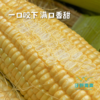 沃野青青生态  水果玉米4斤装 商品缩略图8