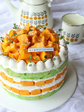 8寸芒果斑斓+20个纸杯+6个木糠杯