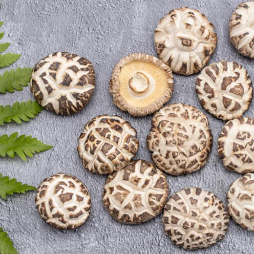 馋满鲜高山花菇250g/袋 商品图1