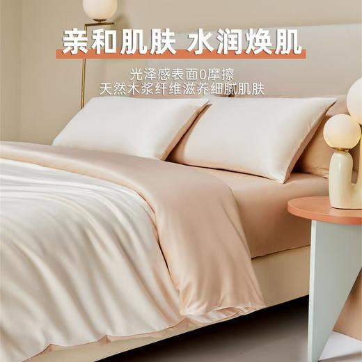 爆卖 10W+！A 类母婴级双面冰丝床品四件套！裸睡像裹着云朵，木浆纤维养肤到尖叫，拼色轻奢美到窒息！ 商品图2