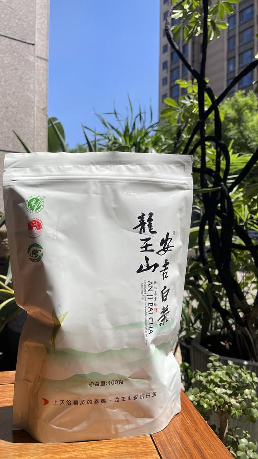 龙王山安吉白茶100克袋装 雨前二级绿茶春茶 原产地 商品图0