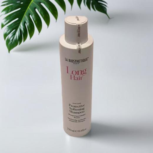 贝伊丝丝柔洗发水（柔顺）250ml/瓶 商品图0