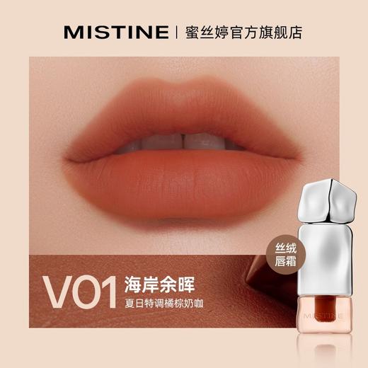 MISTINE/蜜丝婷 泰式奶咖丝绒唇霜2.8g WN 商品图0