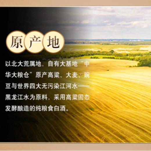 北大荒高粱白酒（浓香型）52度 500ml 商品图2