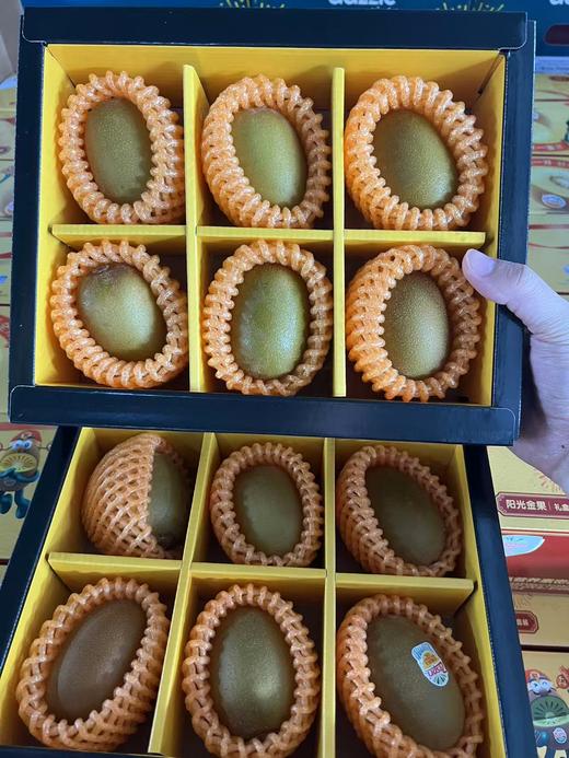 佳沛奇异果礼盒（12个装） 商品图1