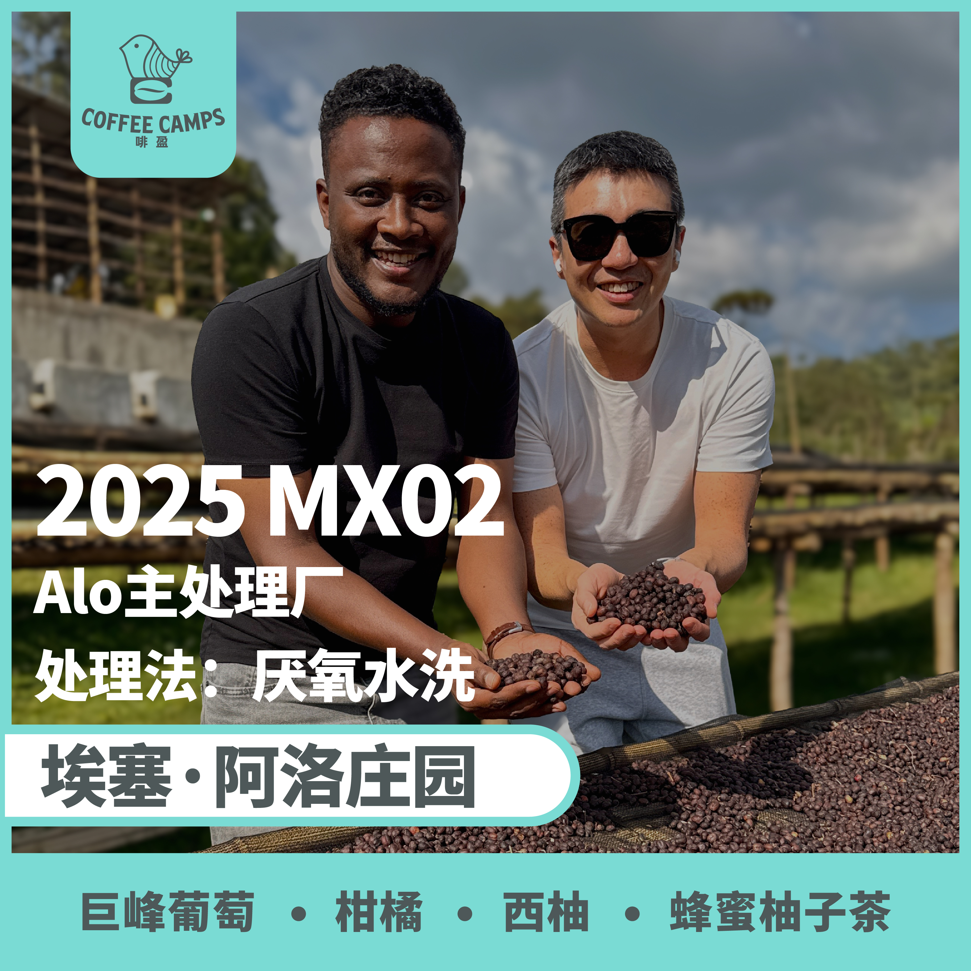 25产季 埃塞 阿洛 Alo MX02 厌氧水洗 （生豆）空运批次