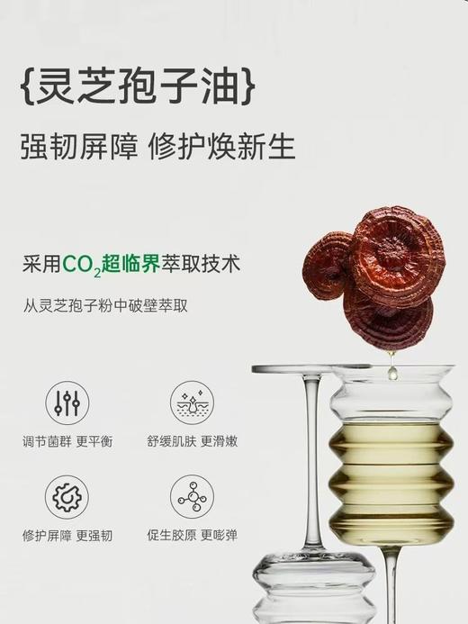 【官方旗舰】玻麦妍麦角硫因灵芝焕颜面膜 抗皱紧致保湿舒缓 商品图1