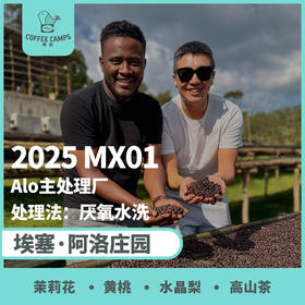 25产季 埃塞 阿洛 Alo MX01 厌氧水洗 （生豆）空运批次