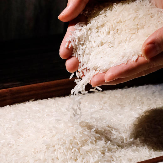 馋满鲜十里稻香香米5kg/袋 商品图2