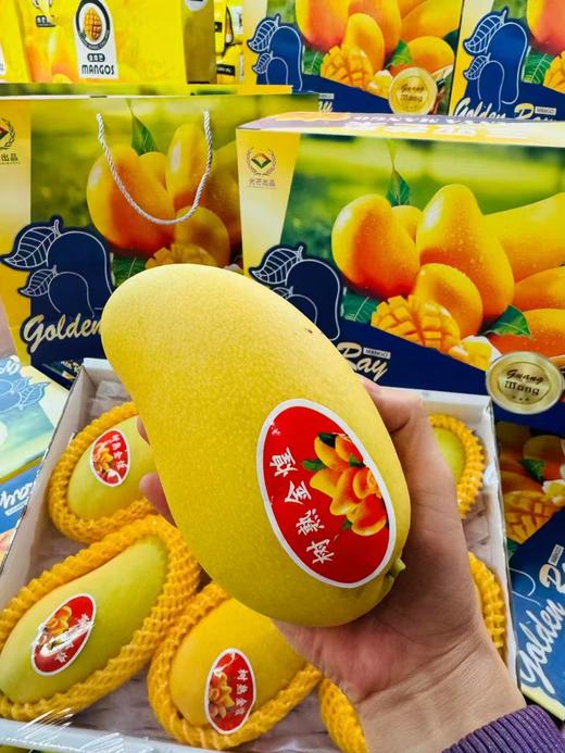 金煌芒礼盒 商品图3