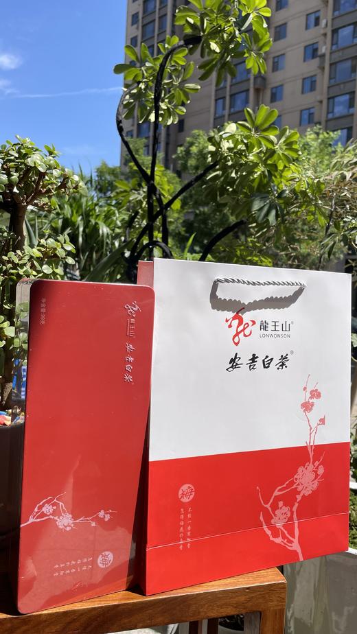 龙王山安吉白茶正宗明前茶礼盒装（梅）红色精品茶叶100g 商品图9