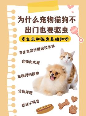 为什么宠物不出门也要驱虫